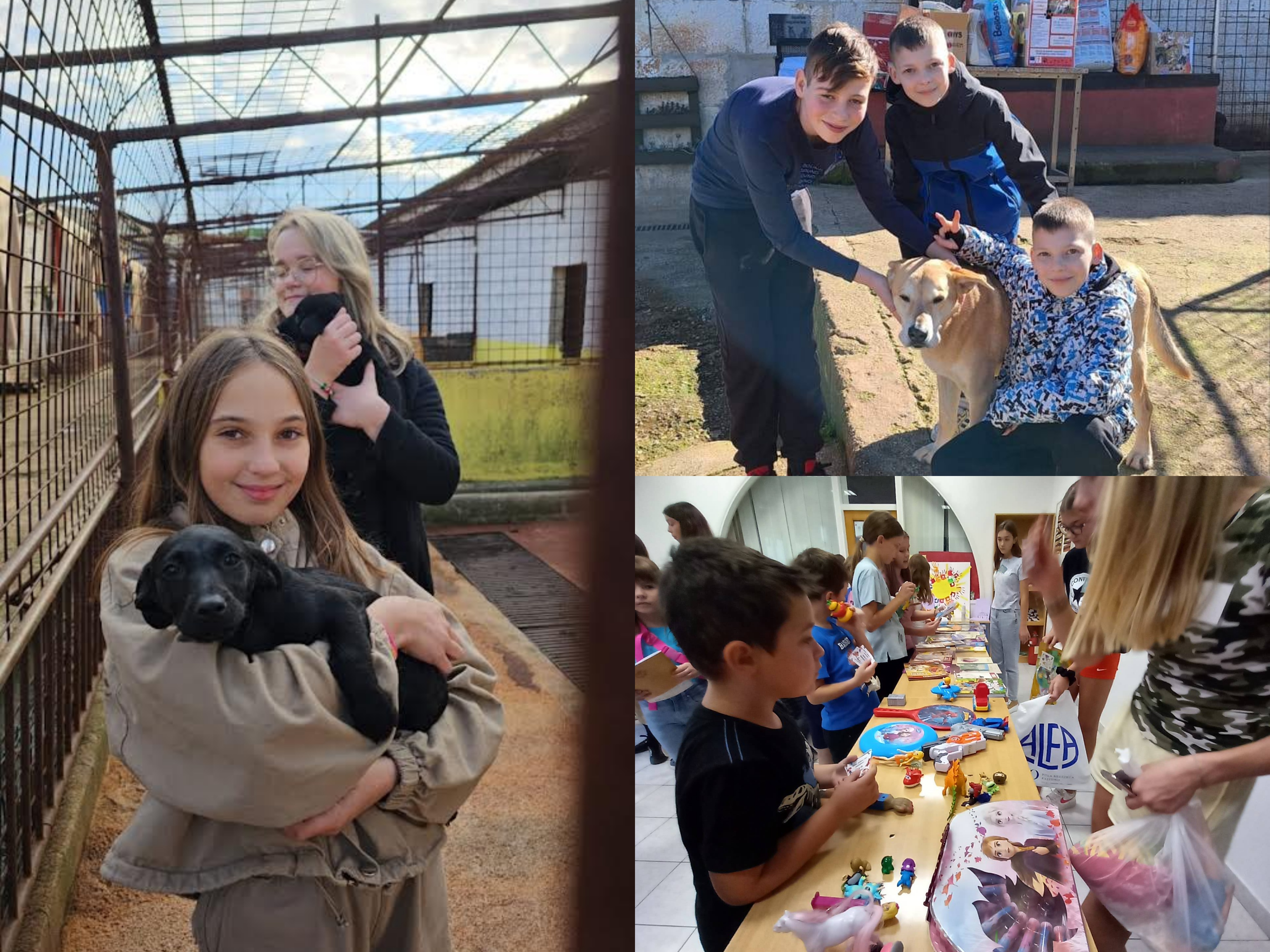 SAVRŠENIH PRVIH 6 MJESECI! Pogledajte kako u OŠ Jože Šurana u Višnjanu provode Erasmus + projekt 'Zeleni Jože'